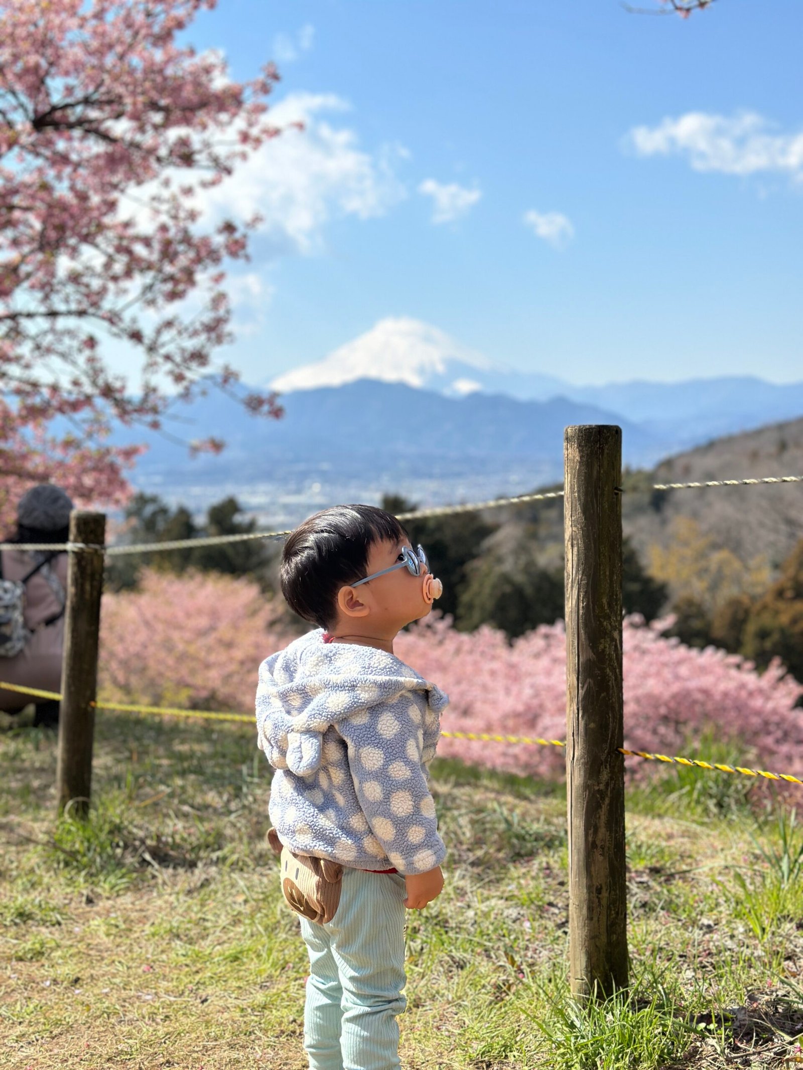 Growing Up 2 img 3734